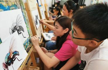 十三載翰墨凝香，繪就夢想的線條——南昌美術培訓深耕素描與繪畫教學紀實