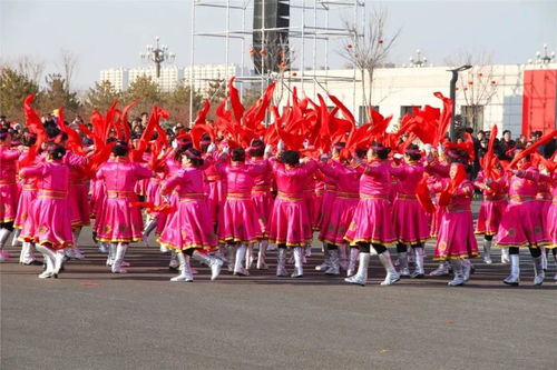 傳承與綻放 包頭市第十一屆鹿城元宵文化節優秀民間文藝展演圓滿落幕